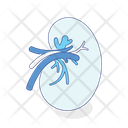 پیش‌نمایش فایل kidney-5691769 از پک زیست‌شناسی