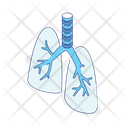 پیش‌نمایش فایل lungs-5691760 از پک زیست‌شناسی