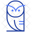 پیش‌نمایش فایل owl-3101777 از پک آموزش و پرورش