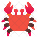 پیش‌نمایش فایل crab-3101325 از پک سفر