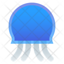 پیش‌نمایش فایل jellyfish-3101323 از پک سفر
