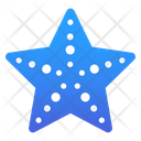 پیش‌نمایش فایل starfish-3101314 از پک سفر