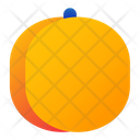 پیش‌نمایش فایل apricot-3101407 از پک میوه‌ها