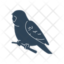 پیش‌نمایش فایل bird-4380485 از پک حیوانات