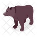 پیش‌نمایش فایل brown-bear-4449861 از پک کمپینگ