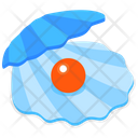 پیش‌نمایش فایل shell-pearl-4449848 از پک سفر
