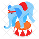 پیش‌نمایش فایل elephant-performance-4449796 از پک سیرک