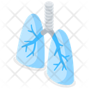 پیش‌نمایش فایل lungs-4449744 از پک اندام‌های بدن