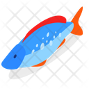 پیش‌نمایش فایل fish-4449580 از پک ماهیگیری