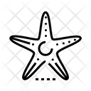 پیش‌نمایش فایل starfish-4491046 از پک ساحل