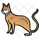 پیش‌نمایش فایل cat-10440548 از پک حیوان