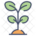 پیش‌نمایش فایل plant-5720030 از پک بوم شناسی