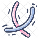 پیش‌نمایش فایل liquorice-7083329 از پک شیرینی