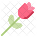 پیش‌نمایش فایل rose-2001740 از پک ولنتاین