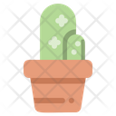 پیش‌نمایش فایل cactus-2001280 از پک بهار