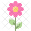 پیش‌نمایش فایل flower-2001270 از پک بهار