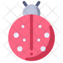 پیش‌نمایش فایل ladybug-2001262 از پک بهار