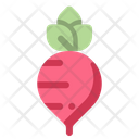 پیش‌نمایش فایل radish-2001254 از پک بهار