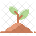 پیش‌نمایش فایل sprout-2001250 از پک بهار