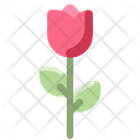 پیش‌نمایش فایل tulip-2001242 از پک بهار