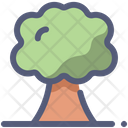 پیش‌نمایش فایل tree-2001142 از پک بهار