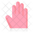 پیش‌نمایش فایل gloves-2078649 از پک لباس ها