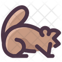پیش‌نمایش فایل groundhog-2097808 از پک روز مارموت