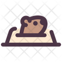 پیش‌نمایش فایل groundhog-move-out-2097844 از پک روز مارموت