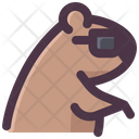 پیش‌نمایش فایل groundhog-wearing-sunglasses-2097817 از پک روز مارموت