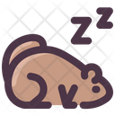 پیش‌نمایش فایل sleeping-groundhog-2097840 از پک روز مارموت