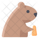 پیش‌نمایش فایل groundhog-2097678 از پک روز مارموت
