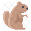 پیش‌نمایش فایل groundhog-2097702 از پک روز مارموت