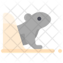 پیش‌نمایش فایل groundhog-move-out-2097684 از پک روز مارموت