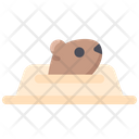 پیش‌نمایش فایل groundhog-move-out-2097694 از پک روز مارموت