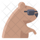 پیش‌نمایش فایل groundhog-wearing-sunglasses-2097667 از پک روز مارموت