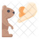 پیش‌نمایش فایل play-with-groundhog-2097657 از پک روز مارموت