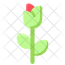 پیش‌نمایش فایل rose-2097699 از پک روز مارموت