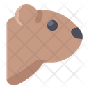 پیش‌نمایش فایل woodchuck-2097703 از پک روز مارموت
