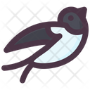 پیش‌نمایش فایل bird-2109829 از پک بهار