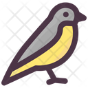 پیش‌نمایش فایل bird-2109858 از پک بهار