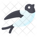 پیش‌نمایش فایل bird-2109878 از پک بهار