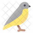 پیش‌نمایش فایل bird-2109907 از پک بهار