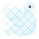 پیش‌نمایش فایل dove-2109872 از پک بهار