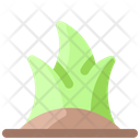 پیش‌نمایش فایل grass-2109865 از پک بهار