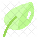 پیش‌نمایش فایل leaf-2109906 از پک بهار
