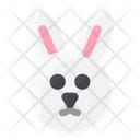 پیش‌نمایش فایل rabbit-face-2109896 از پک بهار