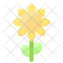 پیش‌نمایش فایل sunflower-2109901 از پک بهار