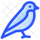 پیش‌نمایش فایل bird-2110019 از پک بهار