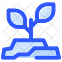 پیش‌نمایش فایل growth-plant-2481203 از پک فضا