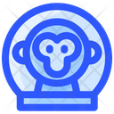 پیش‌نمایش فایل space-monkey-2481221 از پک فضا